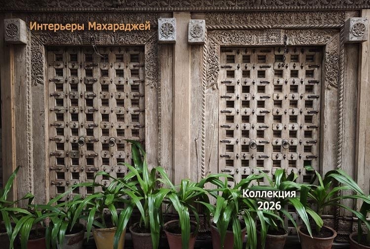 Коллекция 2026